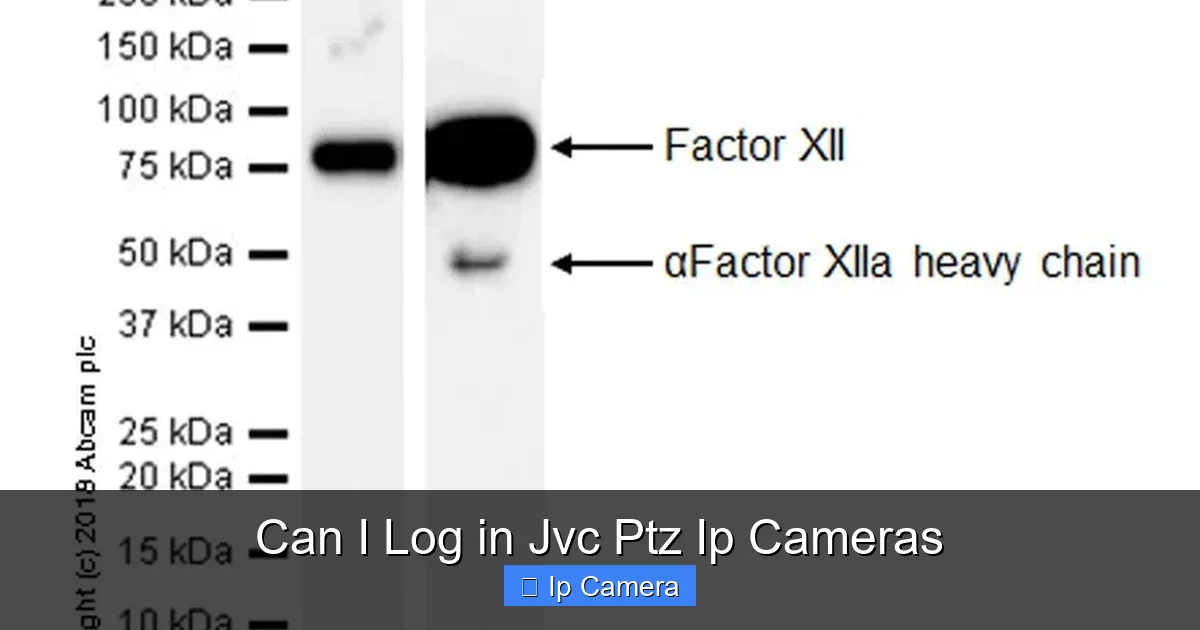 Can I Log in Jvc Ptz Ip Cameras