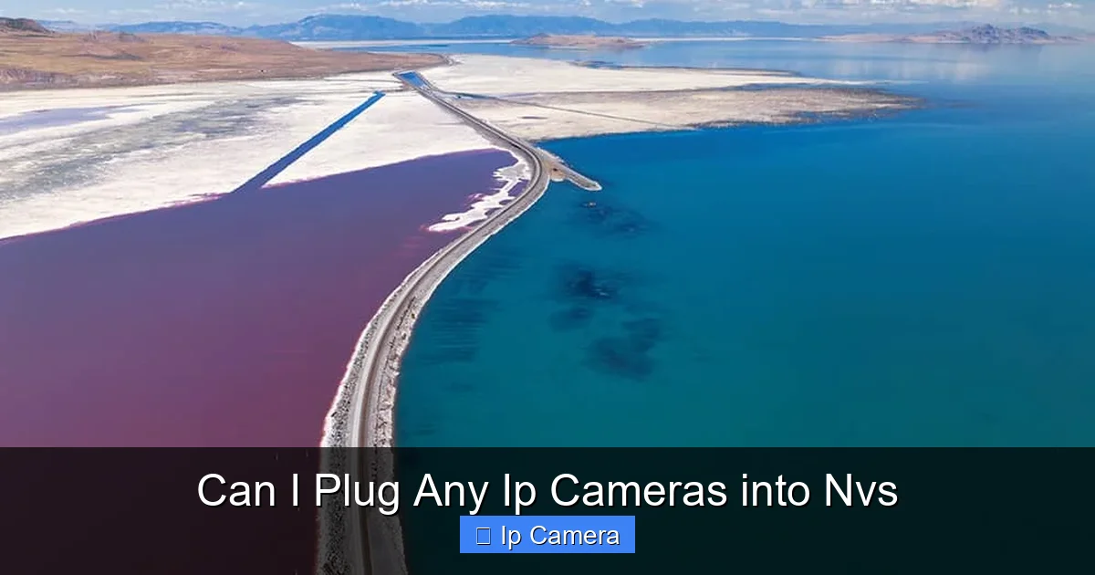 Can I Plug Any Ip Cameras into Nvs