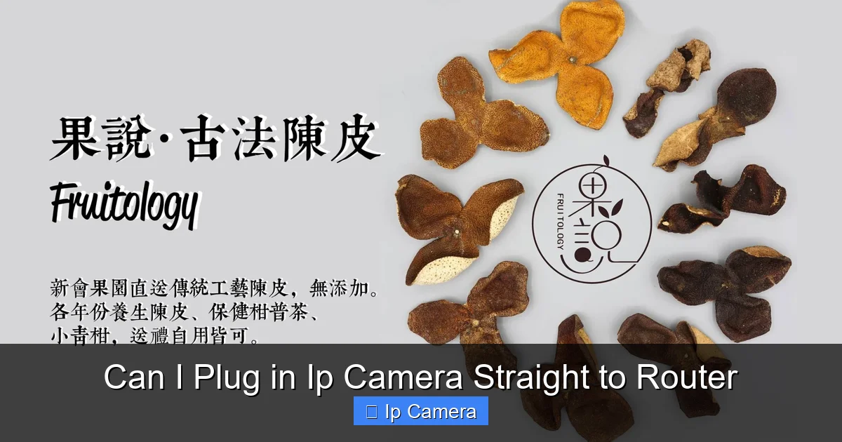 Can I Plug in Ip Camera Straight to Router