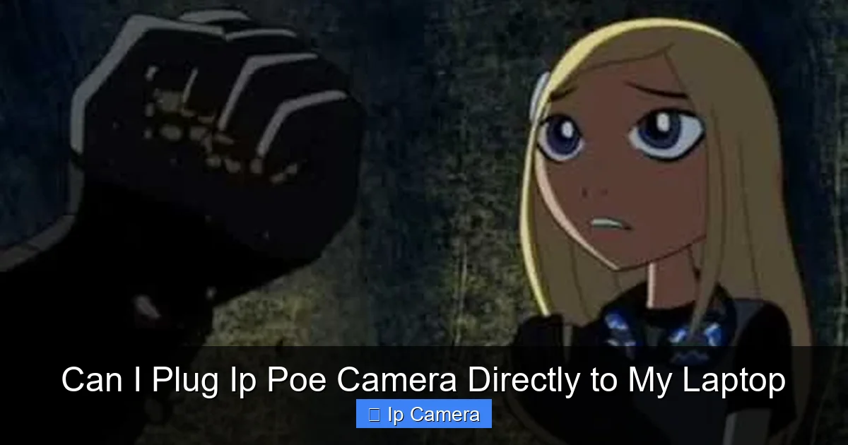 Can I Plug Ip Poe Camera Directly to My Laptop
