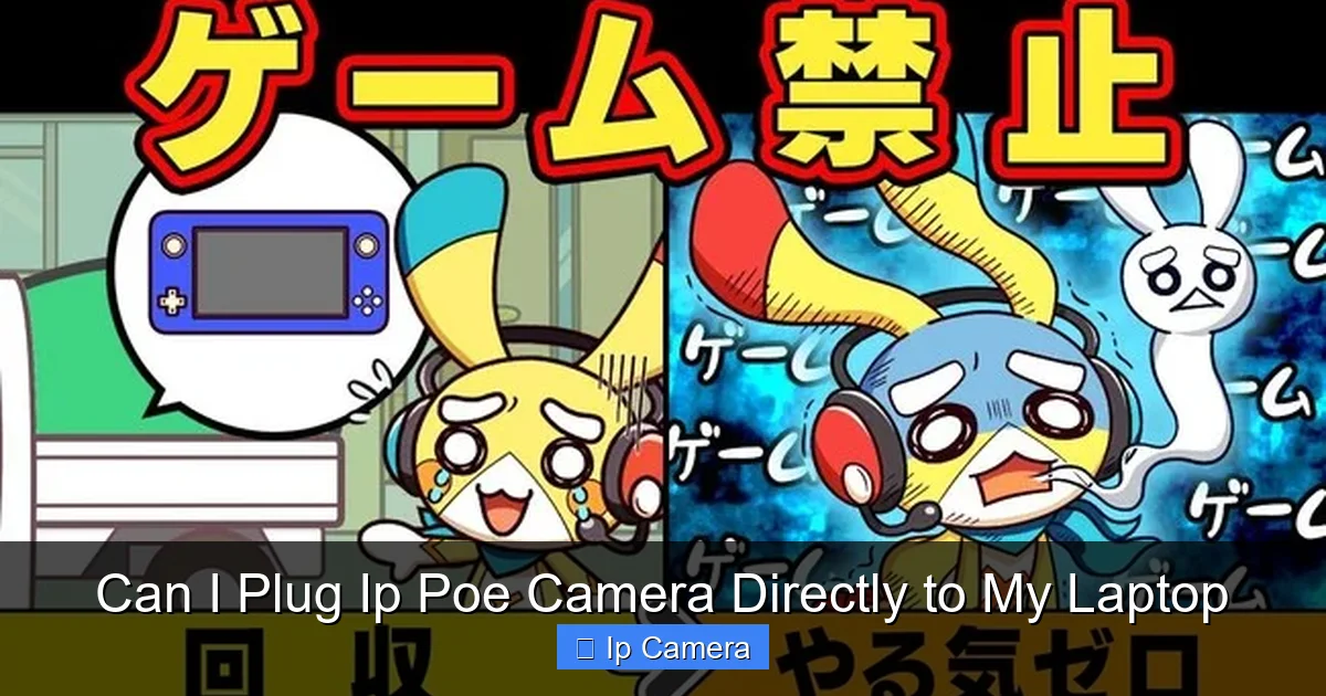 Can I Plug Ip Poe Camera Directly to My Laptop