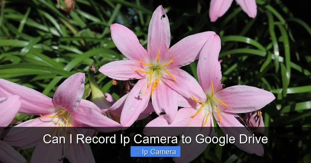Can I Record Ip Camera to Google Drive