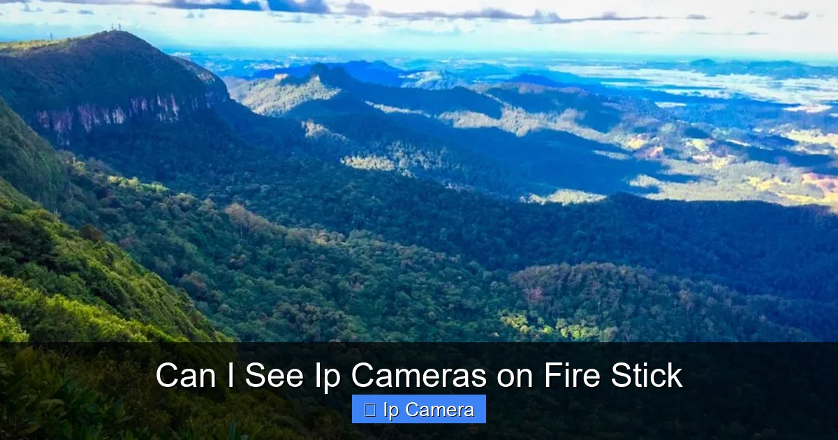 Can I See Ip Cameras on Fire Stick