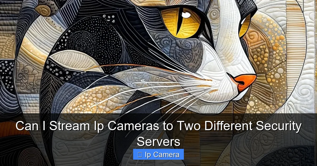 Can I Stream Ip Cameras to Two Different Security Servers