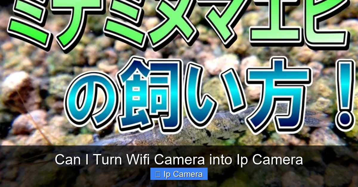 Can I Turn Wifi Camera into Ip Camera