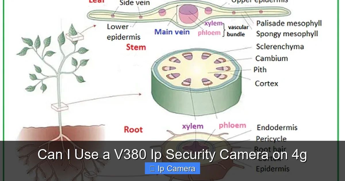 Can I Use a V380 Ip Security Camera on 4g
