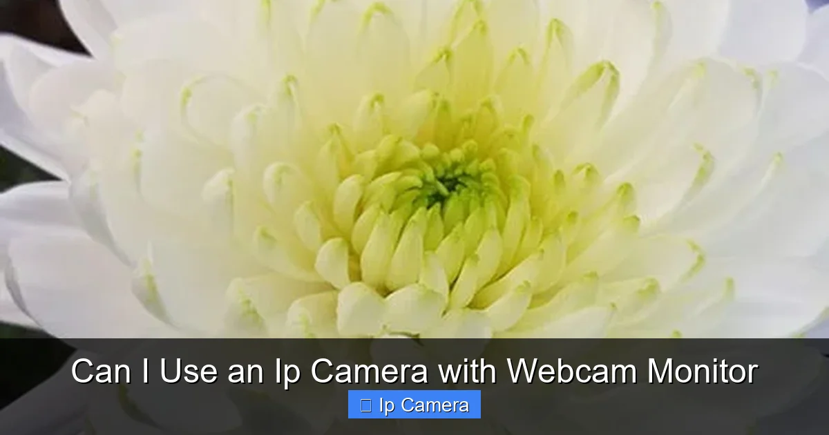 Can I Use an Ip Camera with Webcam Monitor