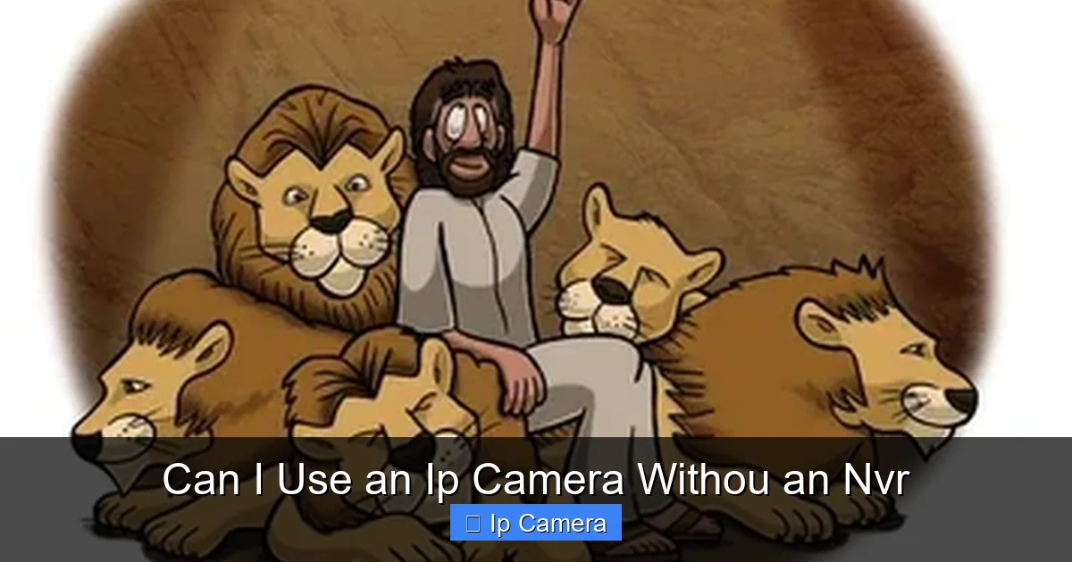 Can I Use an Ip Camera Withou an Nvr