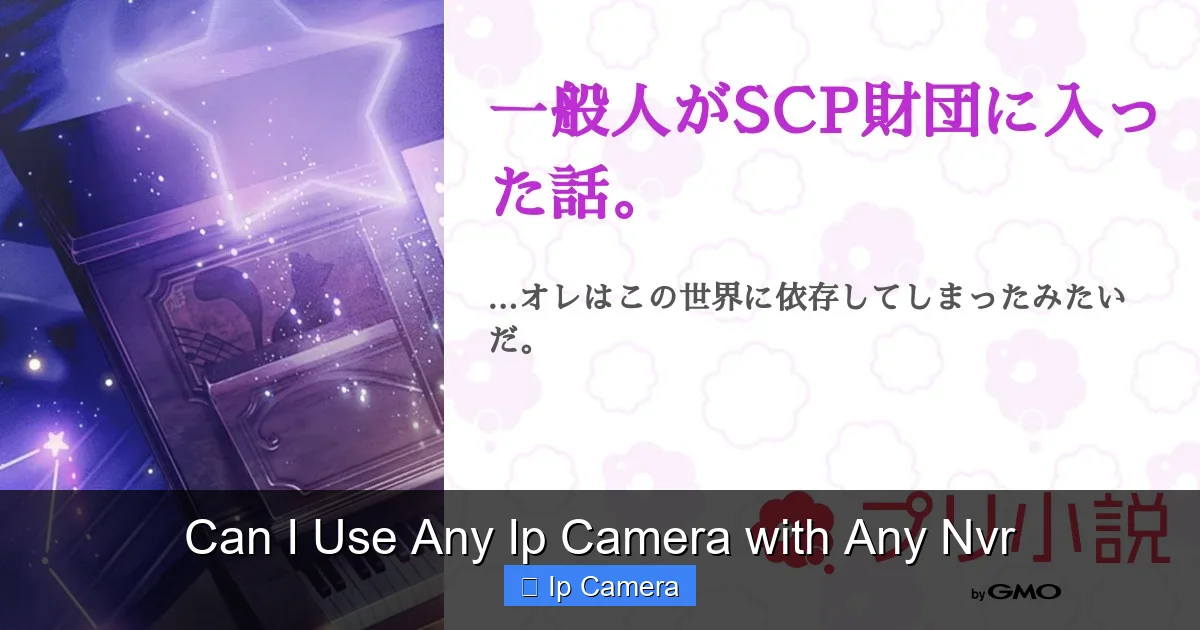 Can I Use Any Ip Camera with Any Nvr
