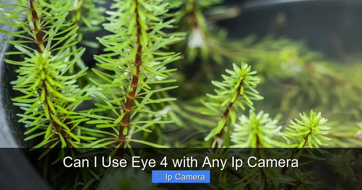 Can I Use Eye 4 with Any Ip Camera