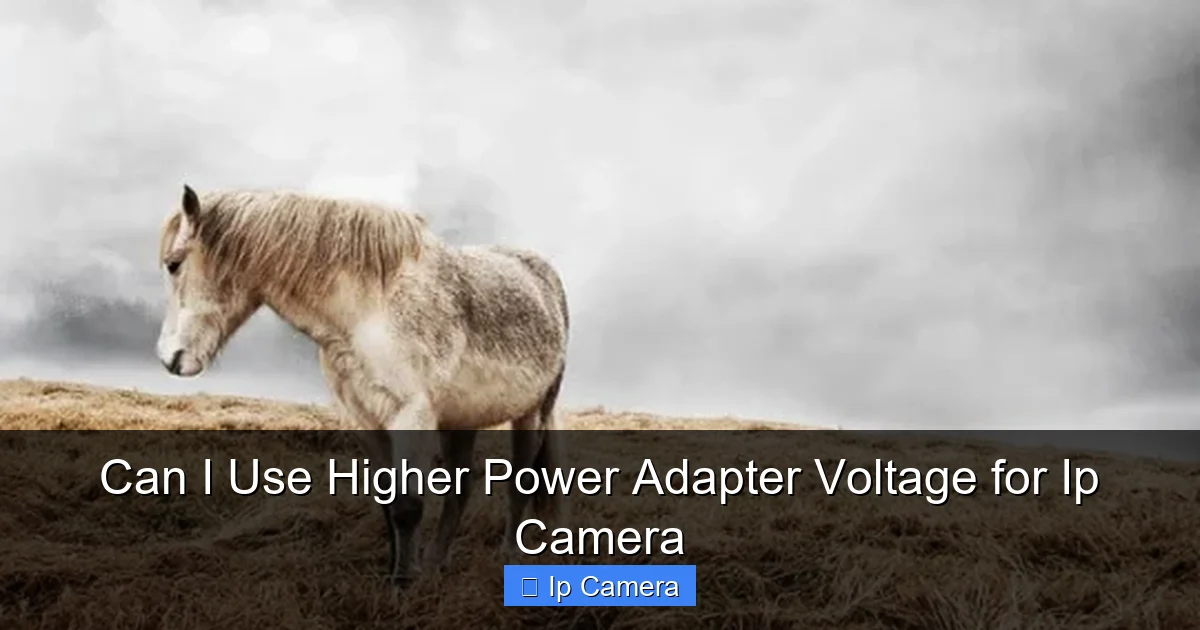 Can I Use Higher Power Adapter Voltage for Ip Camera