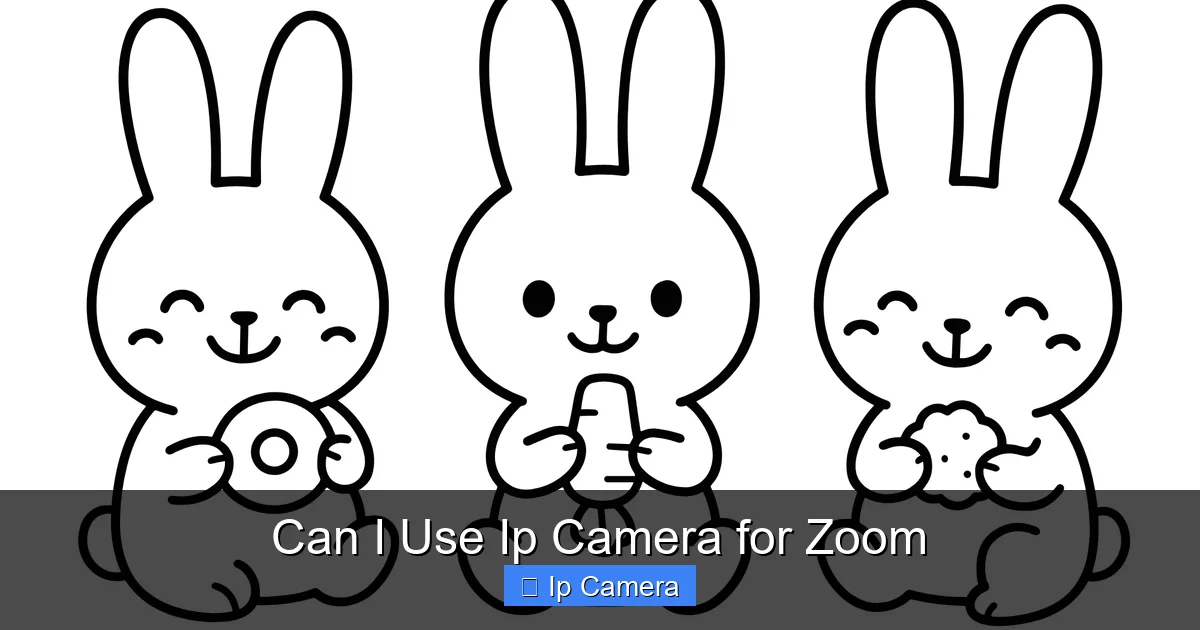 Can I Use Ip Camera for Zoom