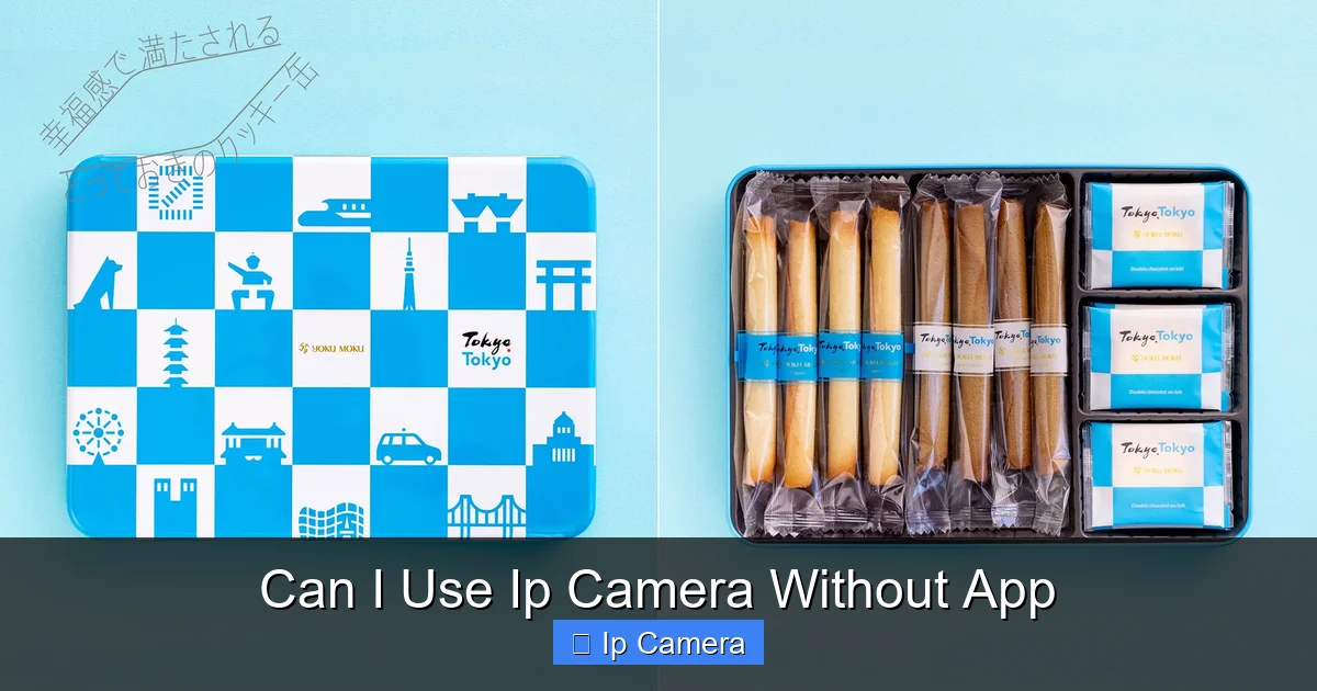 Can I Use Ip Camera Without App