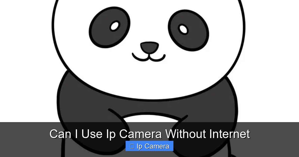 Can I Use Ip Camera Without Internet