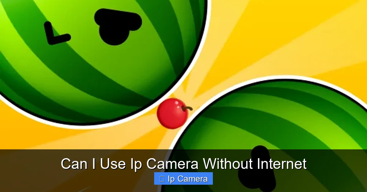 Can I Use Ip Camera Without Internet