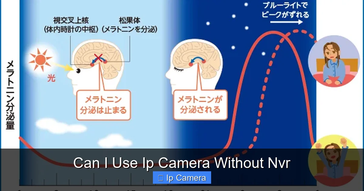 Can I Use Ip Camera Without Nvr