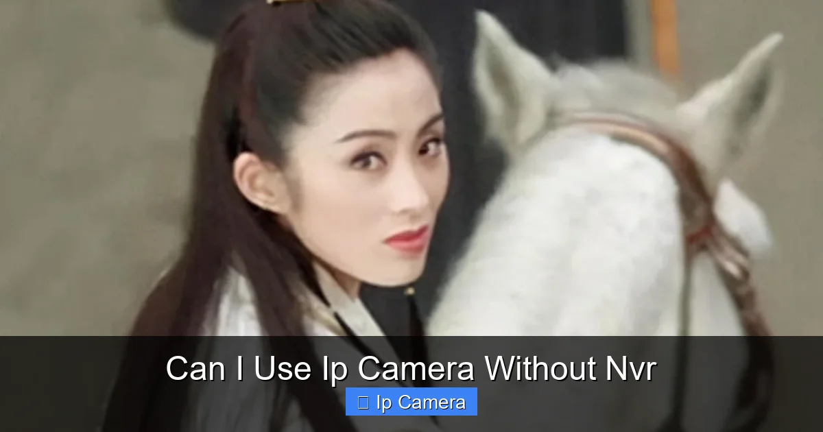 Can I Use Ip Camera Without Nvr