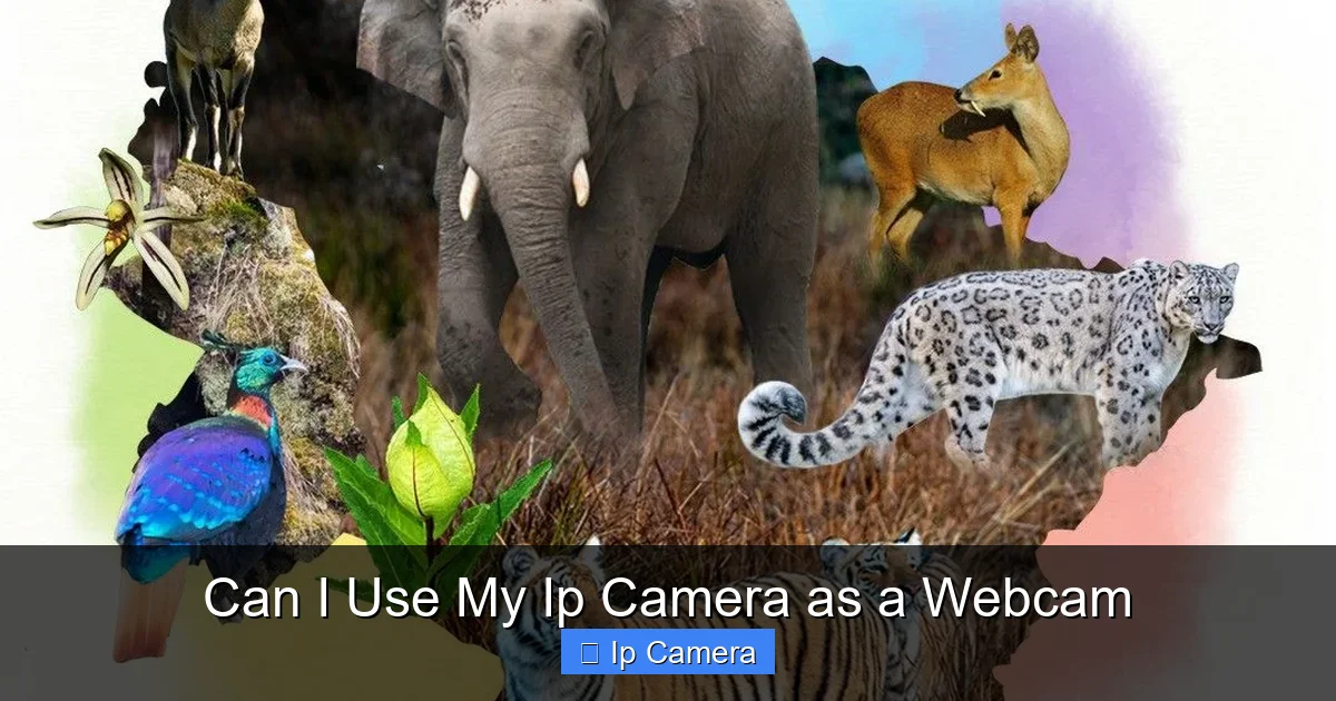 Can I Use My Ip Camera as a Webcam