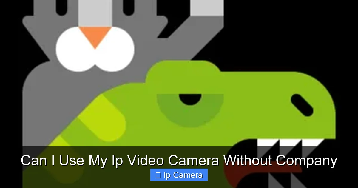 Can I Use My Ip Video Camera Without Company