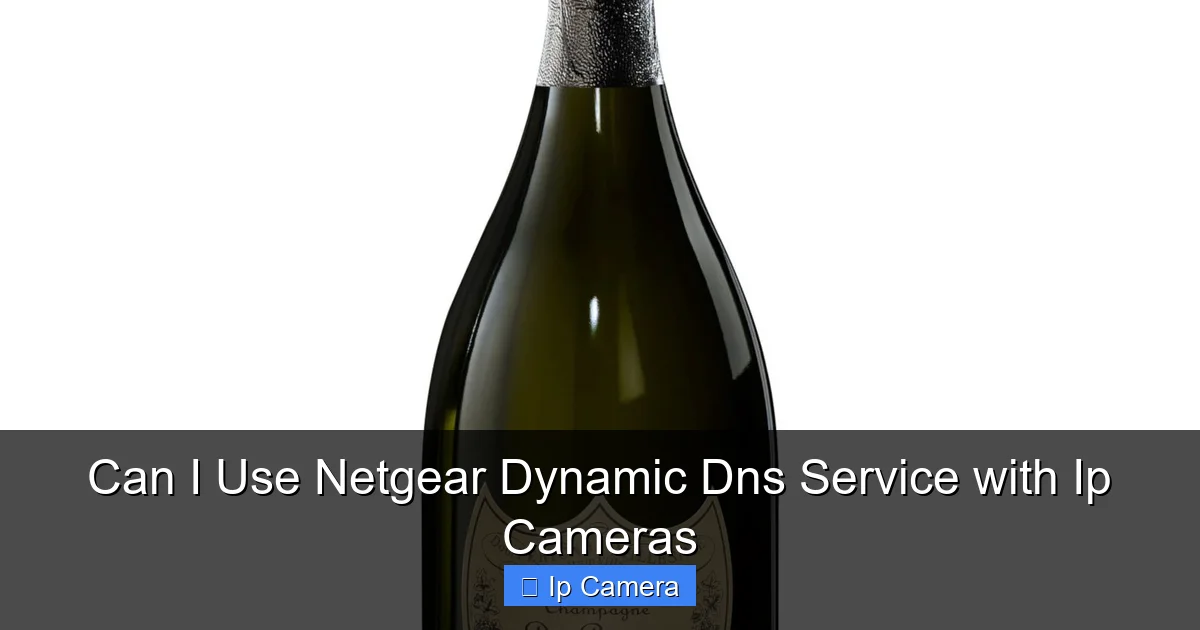 Can I Use Netgear Dynamic Dns Service with Ip Cameras