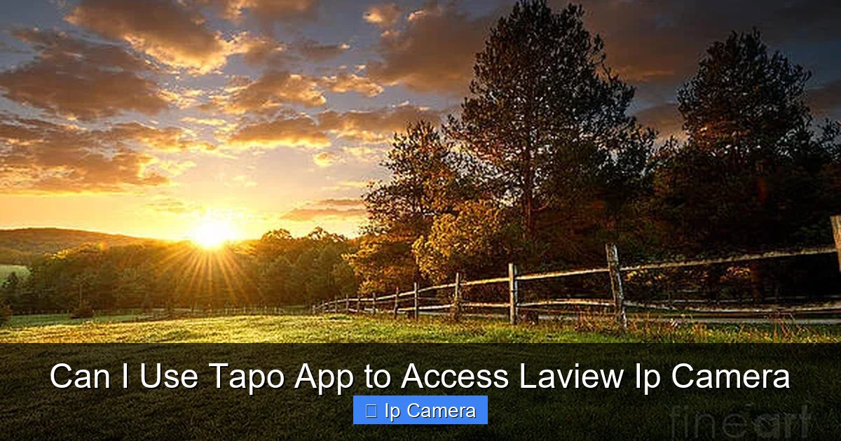 Can I Use Tapo App to Access Laview Ip Camera