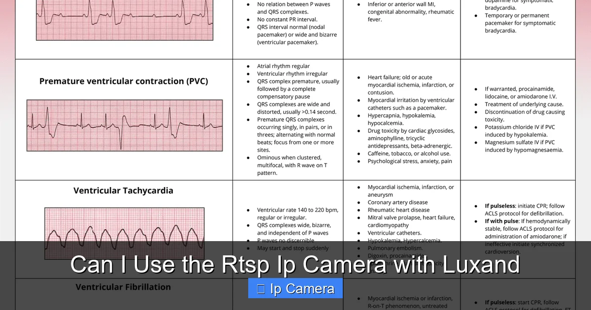 Can I Use the Rtsp Ip Camera with Luxand