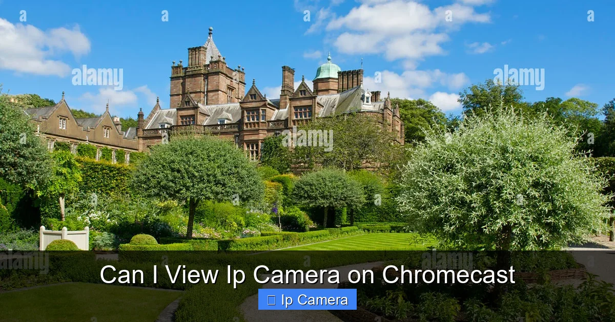 Can I View Ip Camera on Chromecast