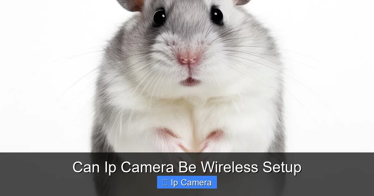 Can Ip Camera Be Wireless Setup
