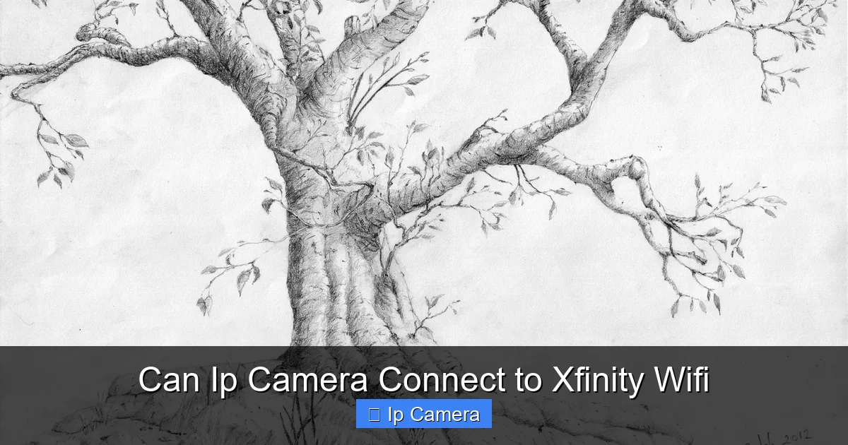 Can Ip Camera Connect to Xfinity Wifi