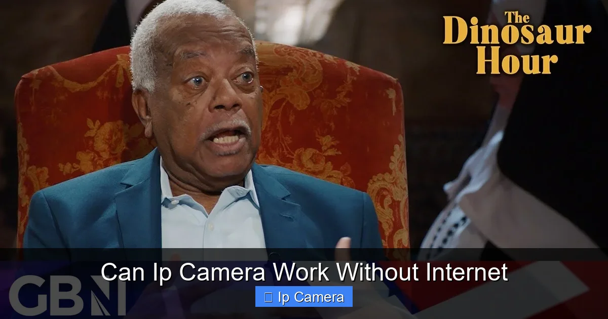 Can Ip Camera Work Without Internet