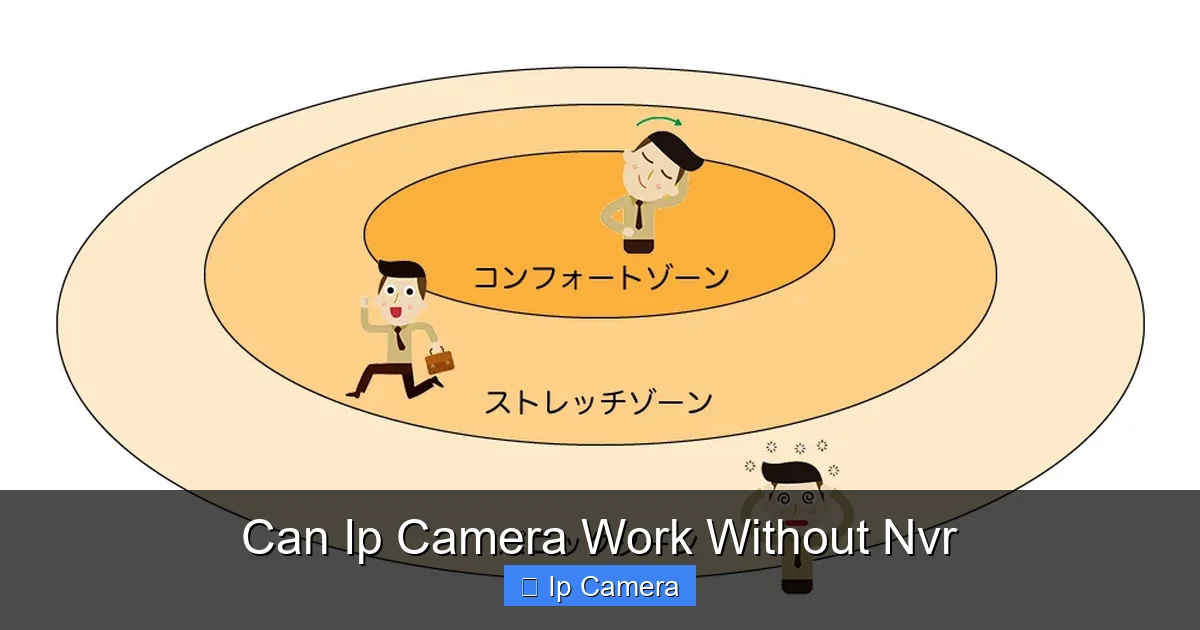 Can Ip Camera Work Without Nvr