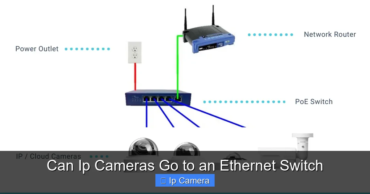 Can Ip Cameras Go to an Ethernet Switch