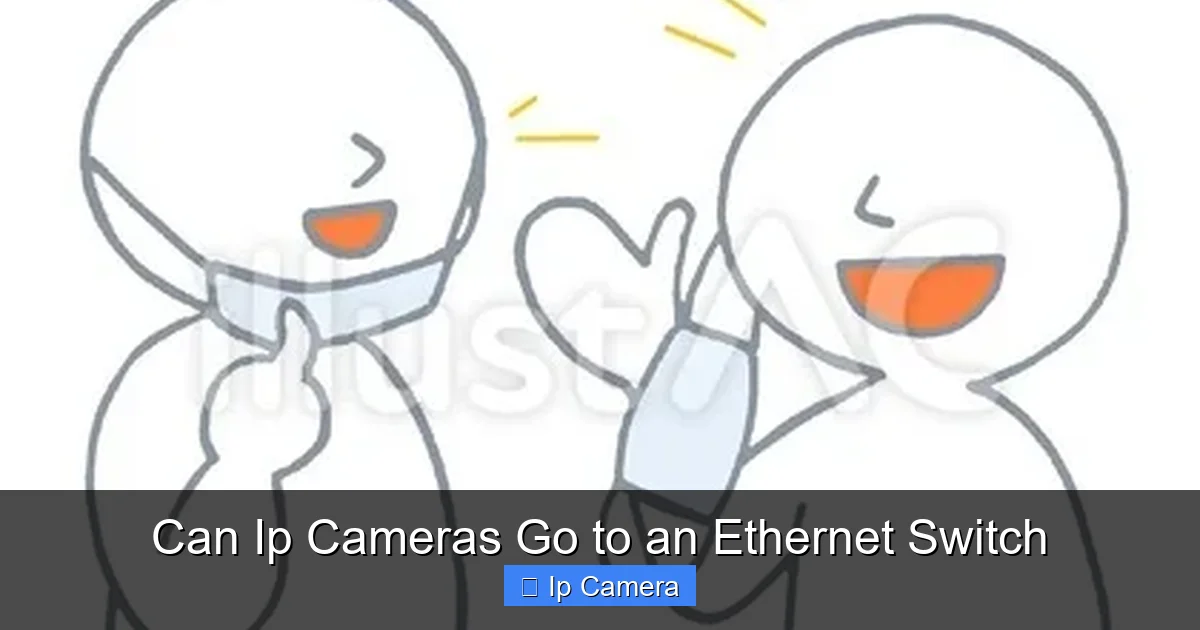 Can Ip Cameras Go to an Ethernet Switch