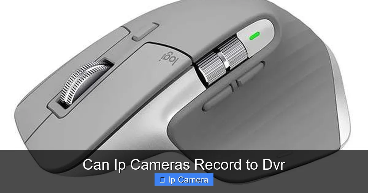 Can Ip Cameras Record to Dvr