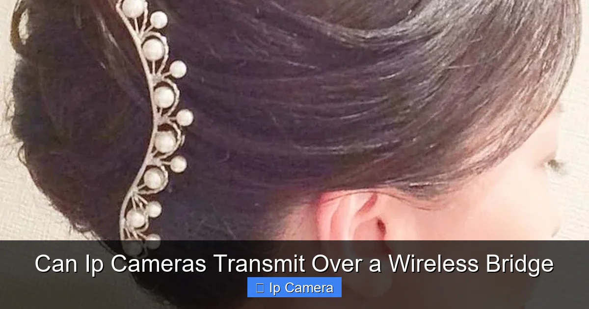 Can Ip Cameras Transmit Over a Wireless Bridge