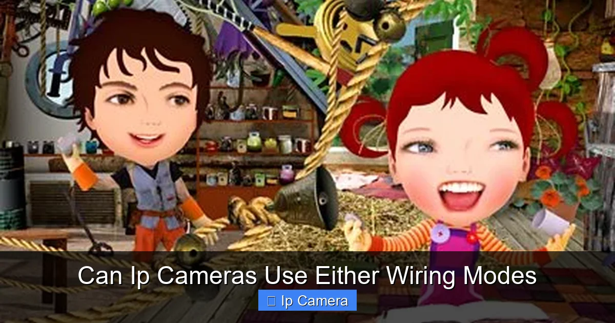 Can Ip Cameras Use Either Wiring Modes