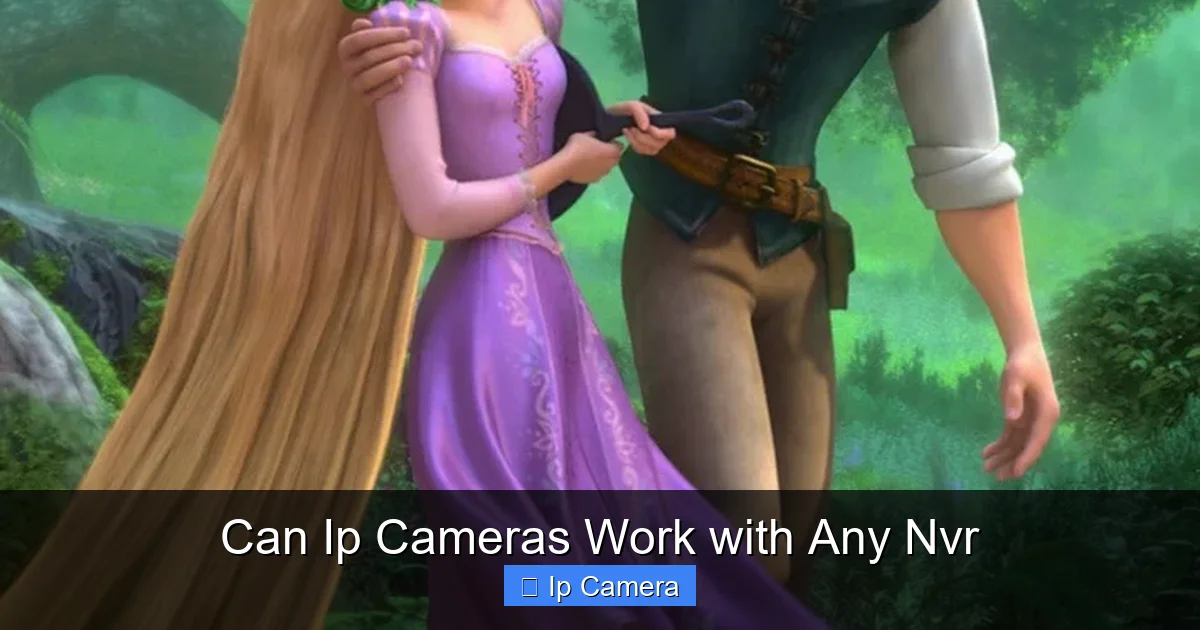 Can Ip Cameras Work with Any Nvr