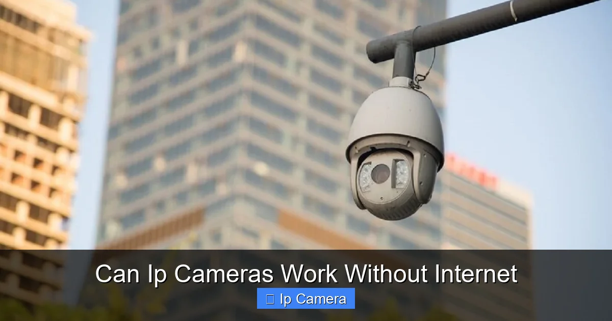 Can Ip Cameras Work Without Internet