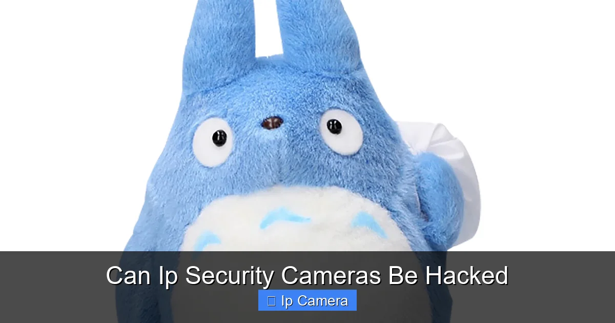 Can Ip Security Cameras Be Hacked