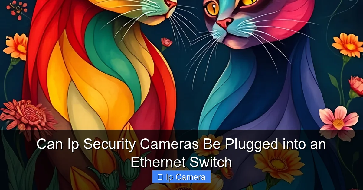 Can Ip Security Cameras Be Plugged into an Ethernet Switch