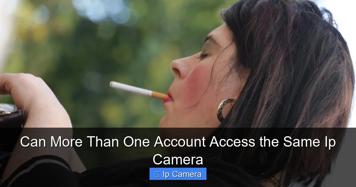 Can More Than One Account Access the Same Ip Camera