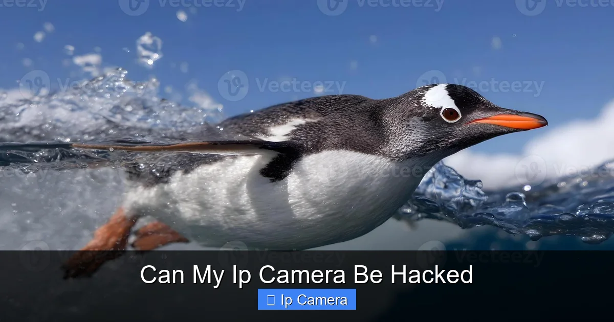 Can My Ip Camera Be Hacked