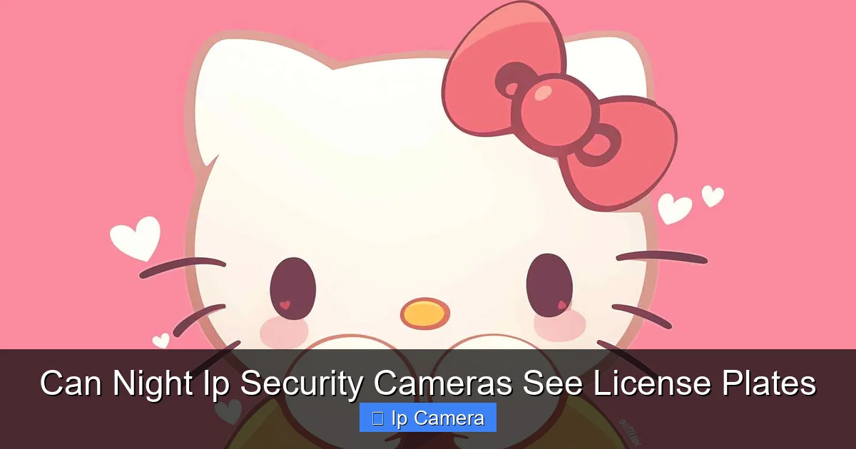 Can Night Ip Security Cameras See License Plates