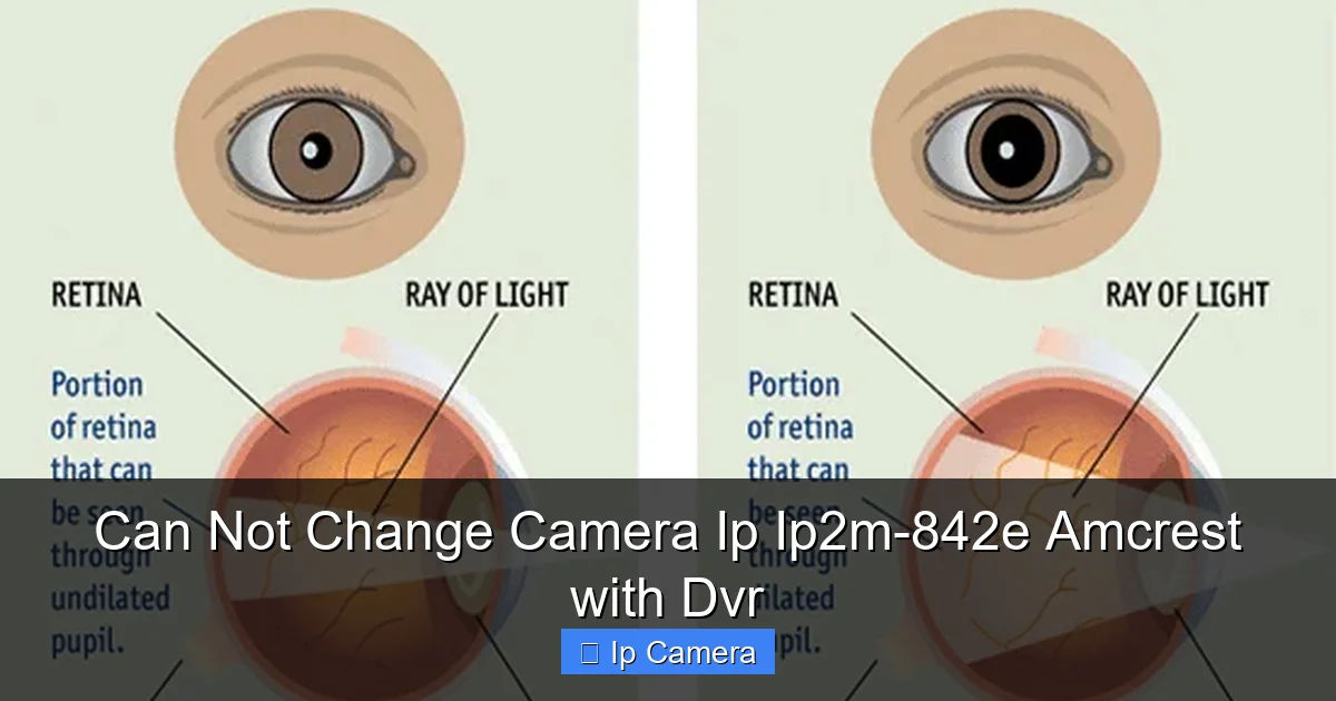 Can Not Change Camera Ip Ip2m-842e Amcrest with Dvr