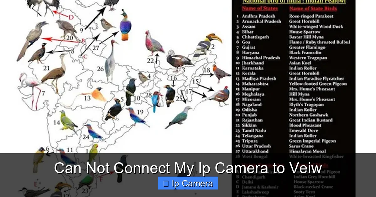 Can Not Connect My Ip Camera to Veiw