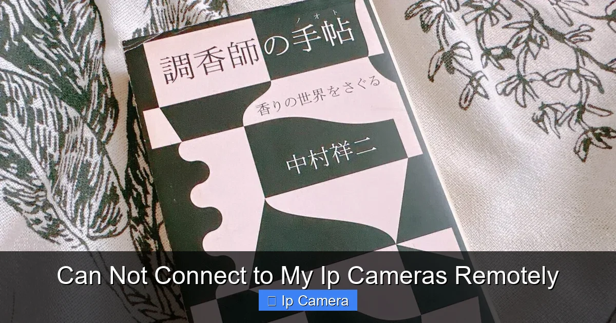 Can Not Connect to My Ip Cameras Remotely