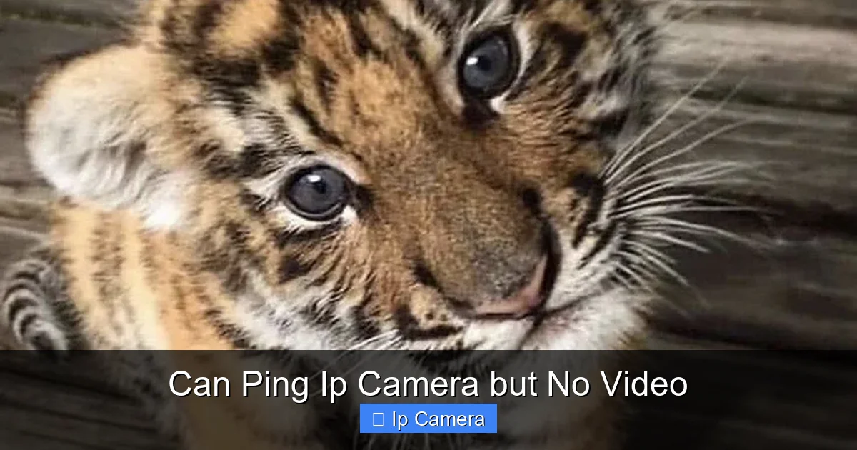 Can Ping Ip Camera but No Video