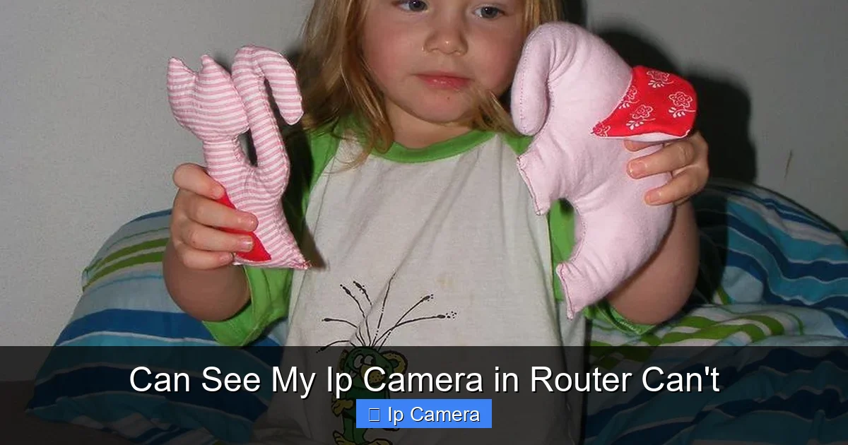 Can See My Ip Camera in Router Can't