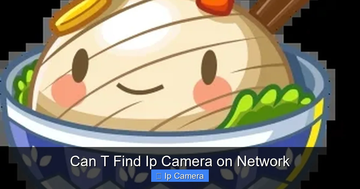 Can T Find Ip Camera on Network