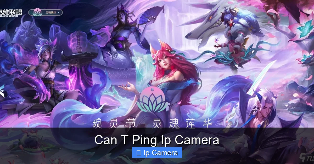 Can T Ping Ip Camera
